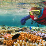 QLD Education Experiences - Great Barrier Reef Trip